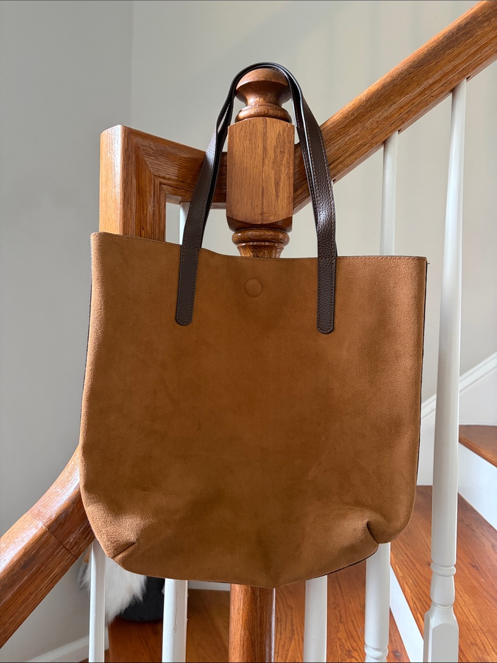 Classic Suede Tote Bag in Chestnut with Dark Brown Handles
